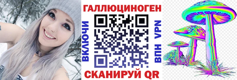 Галлюциногенные грибы MAGIC MUSHROOMS  наркота  Новоузенск 